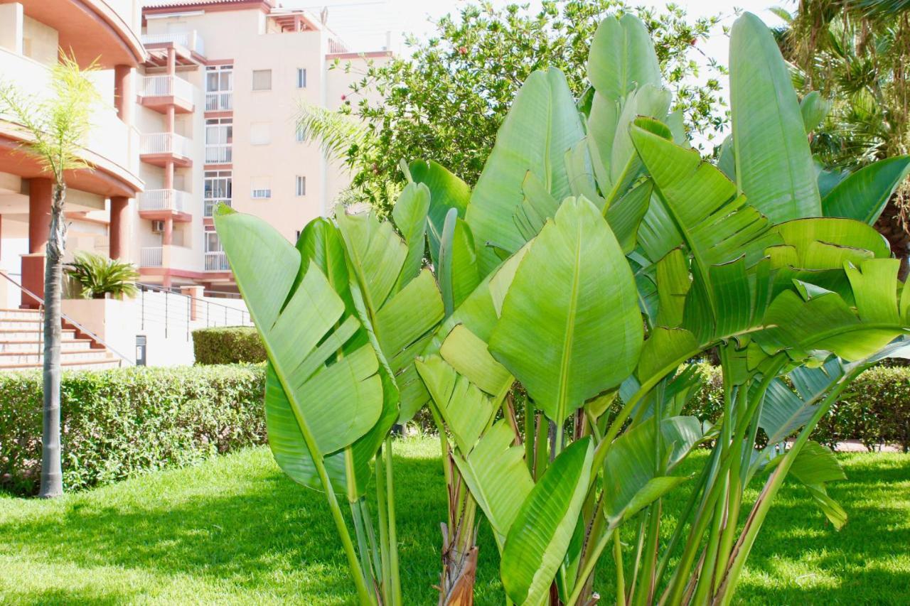 Apartment Espectacular Atico Con Parking Y Terraza Con Bbq *
